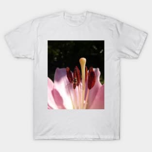 Marmalade Hoverfly, Macro photo on Lily. Episyrphus balteatus T-Shirt